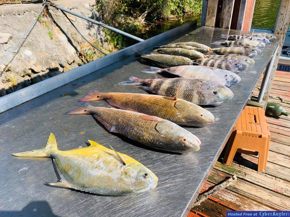 Cedar_Key_Fishing_Report