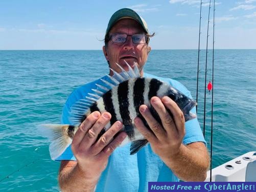 Florida_Sheepshead_Fishing_Reports