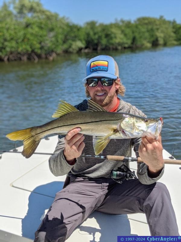 Click to Enlarge Photo