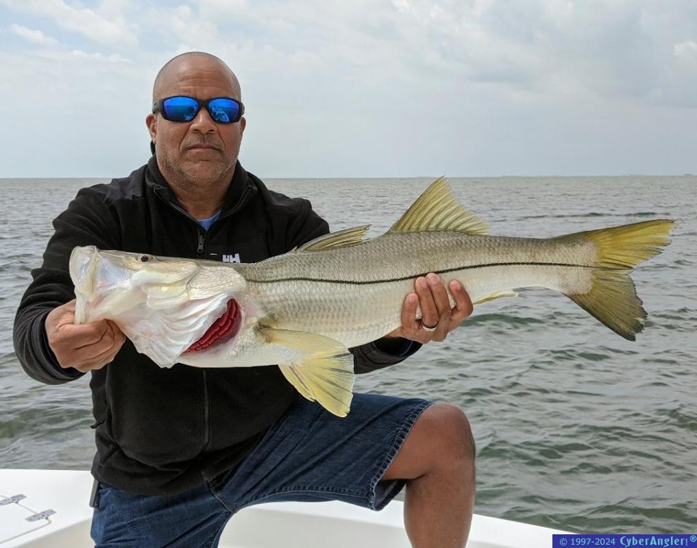 Click to Enlarge Photo