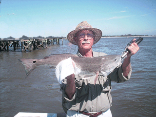 www.captdaves.com