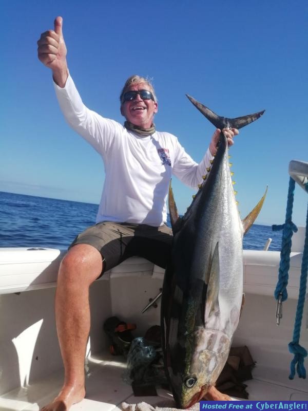 Yellowfin_tuna_action_panama