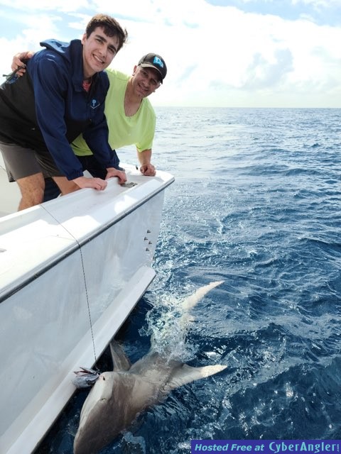 Click to Enlarge Photo