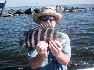 www.captdaves.com
