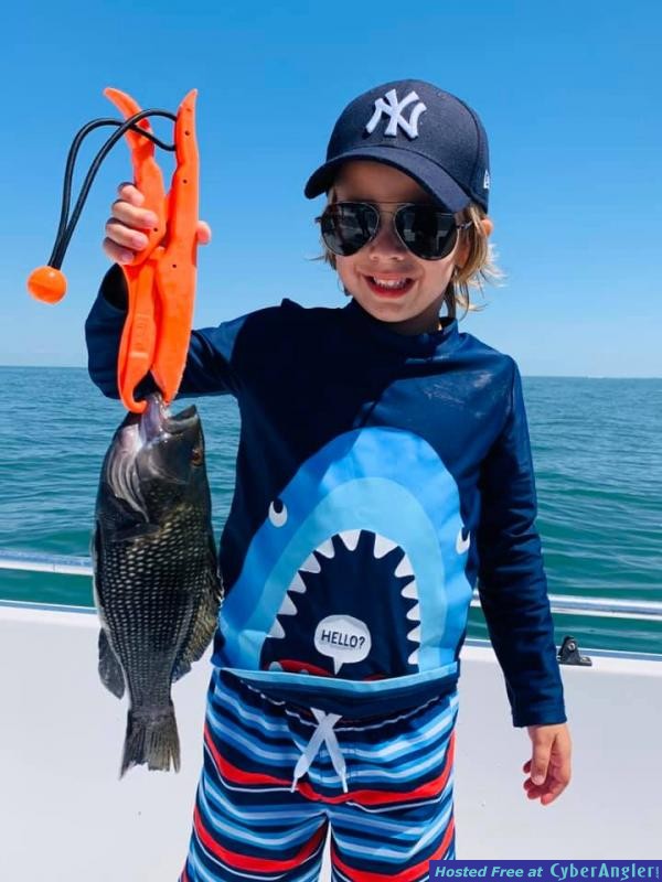 Cedar_Key_Fishing_Reports_Seabass_Deep_Sea