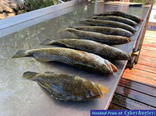 Crystal_River_Florida_May_Fishing_Report