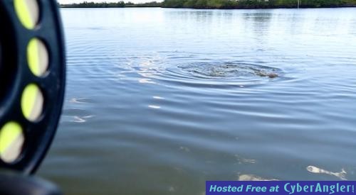 Click to Enlarge Photo