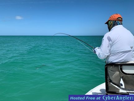VinceSharpSarasotaflytarpon2