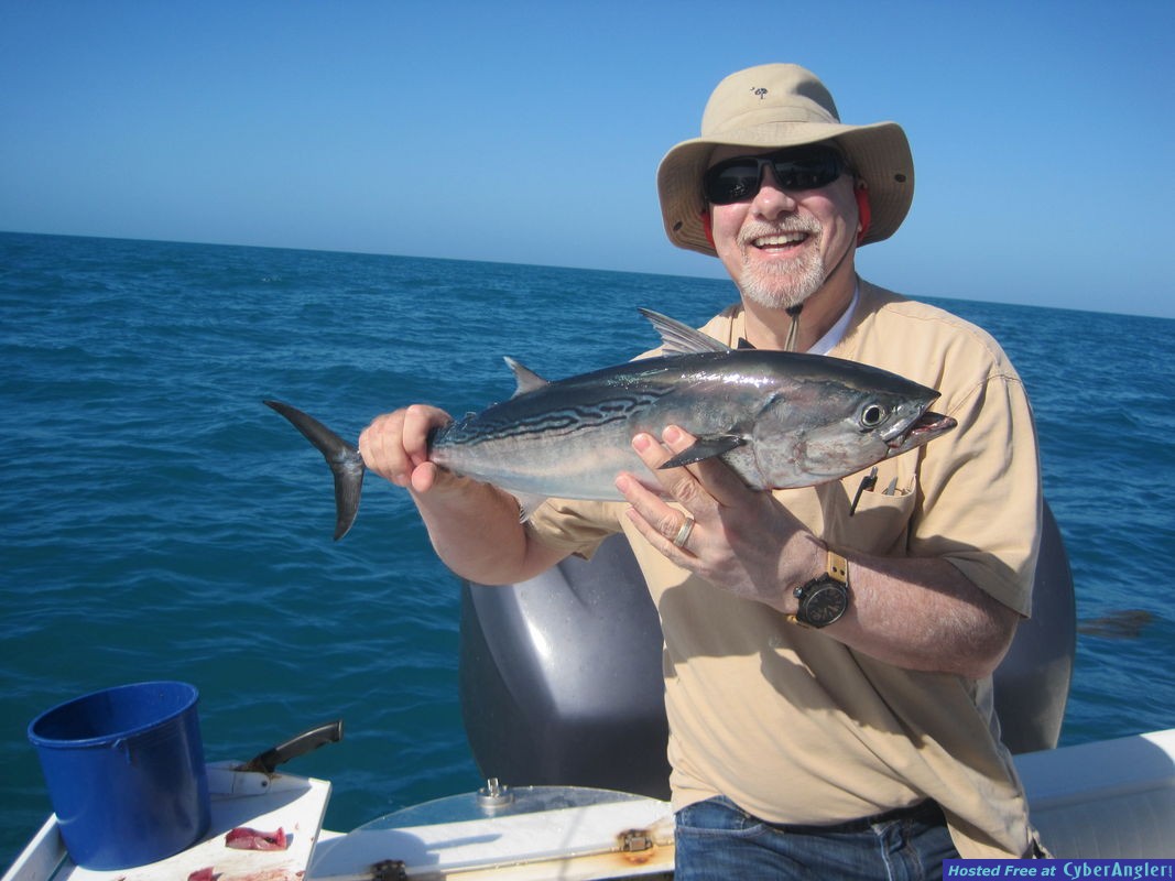 25-inch bonito released