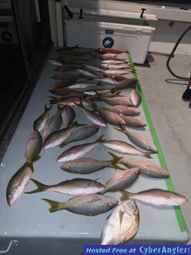 Click to Enlarge Photo