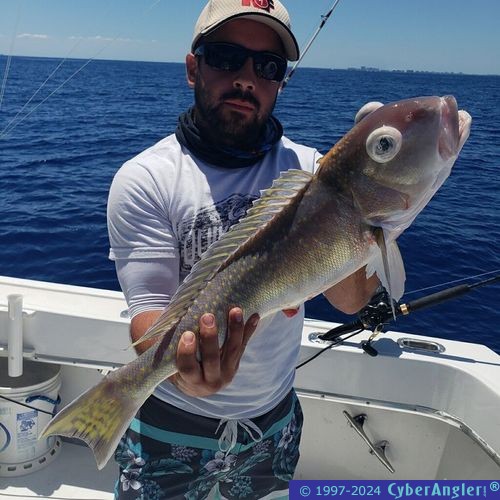 Click to Enlarge Photo