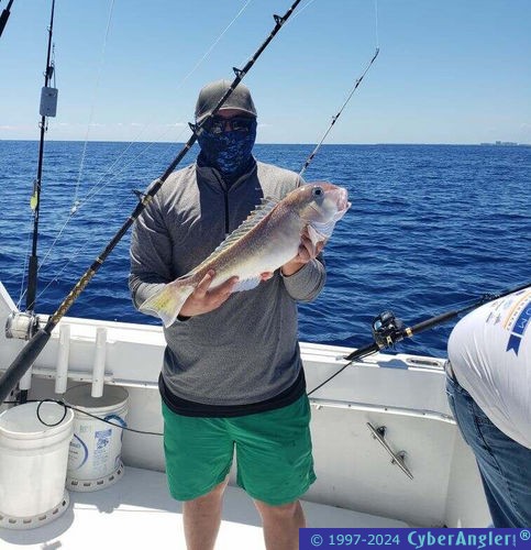 Click to Enlarge Photo