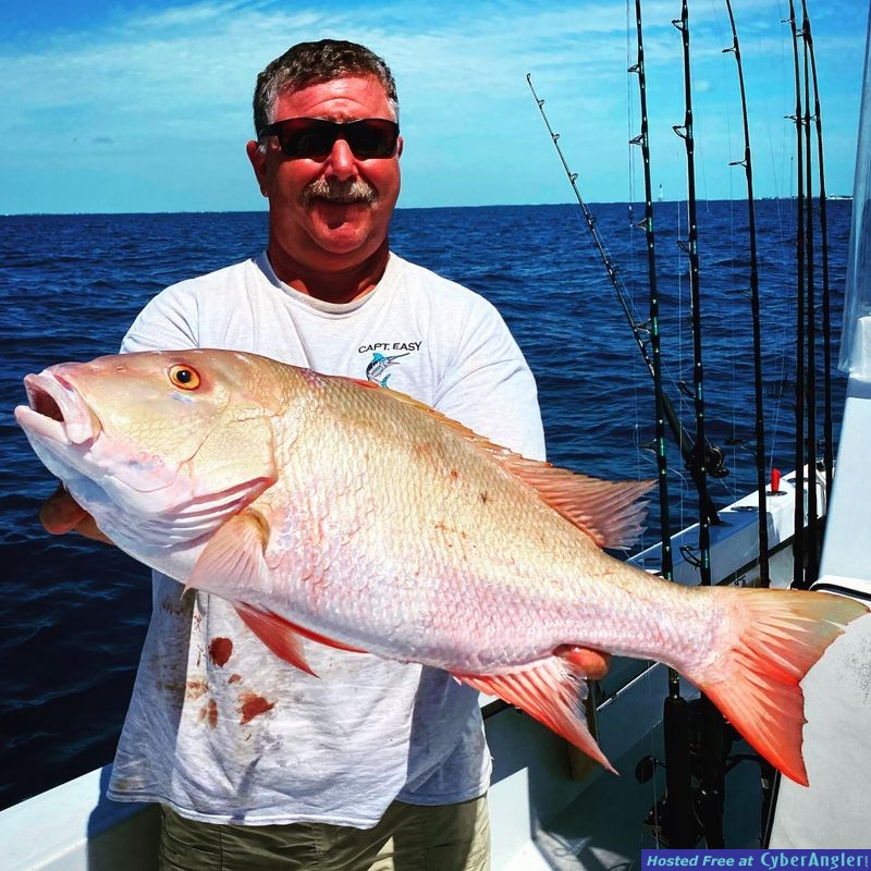 Mutton snapper