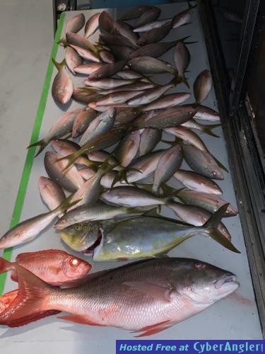 Click to Enlarge Photo