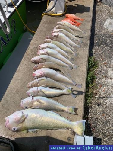 Click to Enlarge Photo