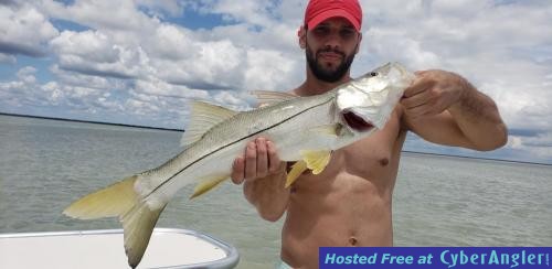 Click to Enlarge Photo