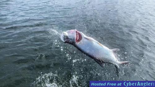 Click to Enlarge Photo