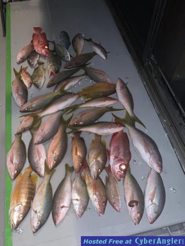 Click to Enlarge Photo