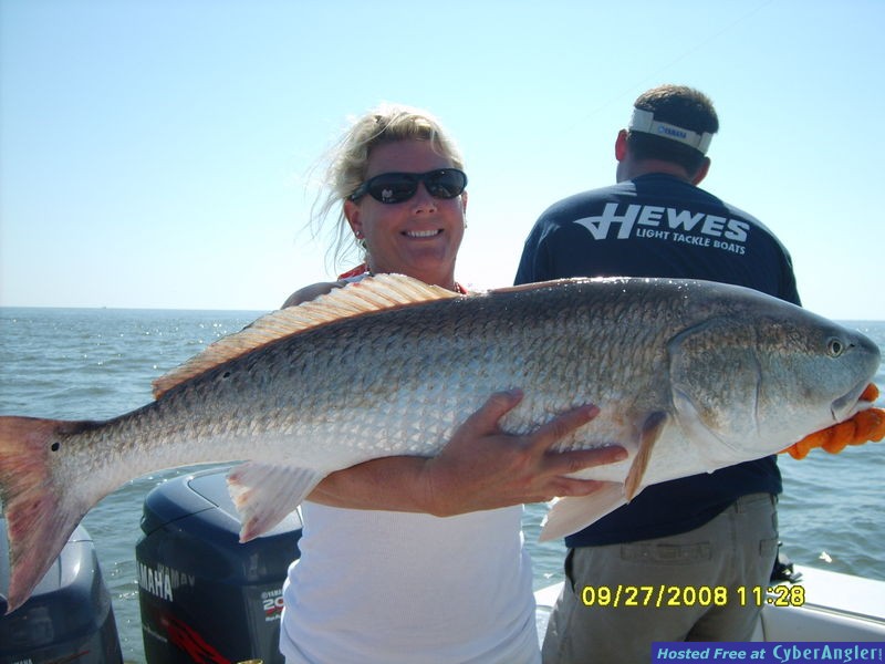 Georgia Bull Redfish Fall Season