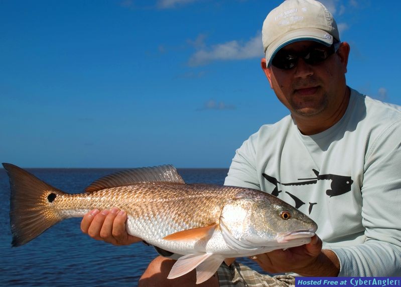 Redfish