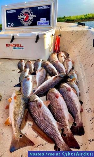 Whiskey_Bayou_Charters___Fishing_Report___Sunny_Day_Redfishing_3