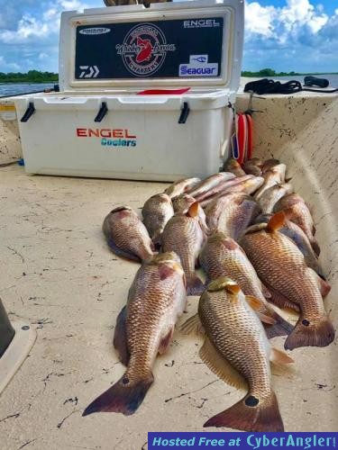 Whiskey_Bayou_Charters___Fishing_Report___Redfish_Wednesday_2