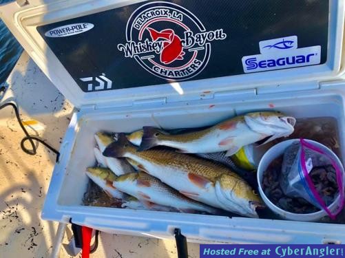 Whiskey_Bayou_Charters___Fishing_Report___Great_Saturday_for_Fishing_5