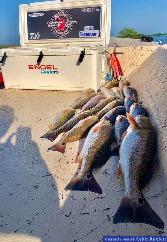 Whiskey_Bayou_Charters___Fishing_Report___Great_Saturday_for_Fishing_4