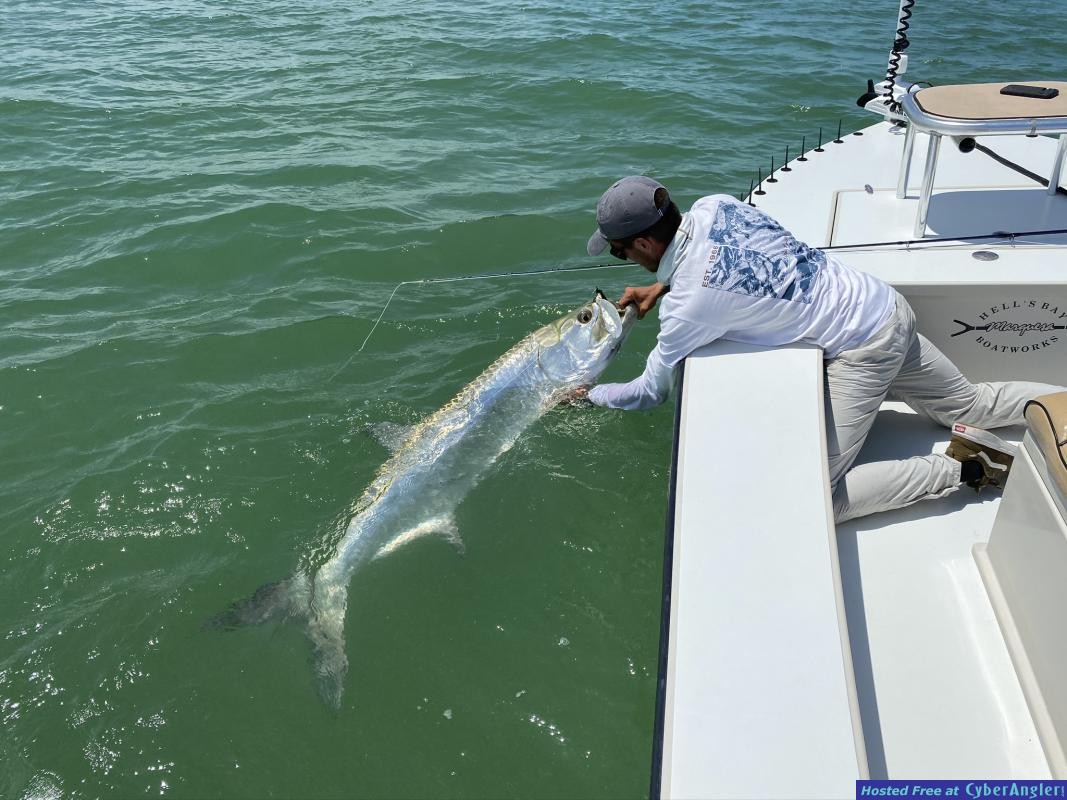 Fly_Fishing_Tarpon_Guide