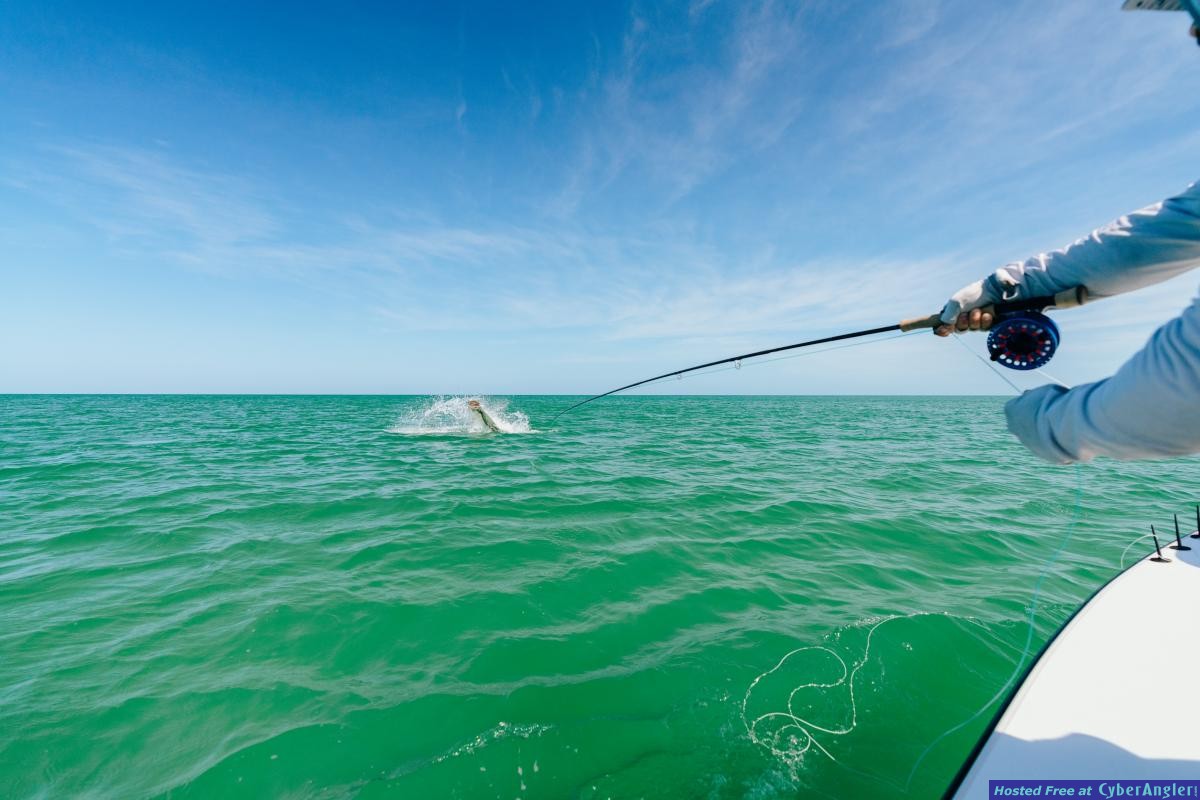 Fly_Fishing_Clearwater_Beach