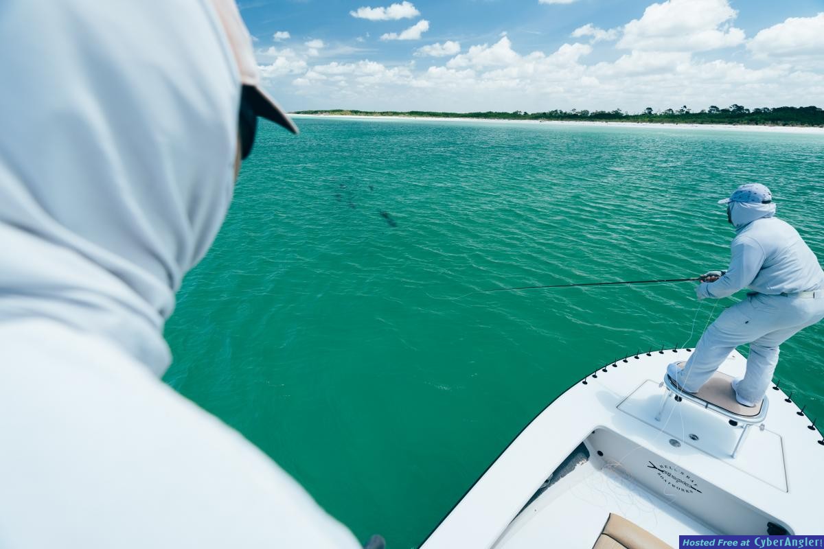 Tampa_Fly_Fishing_Guide