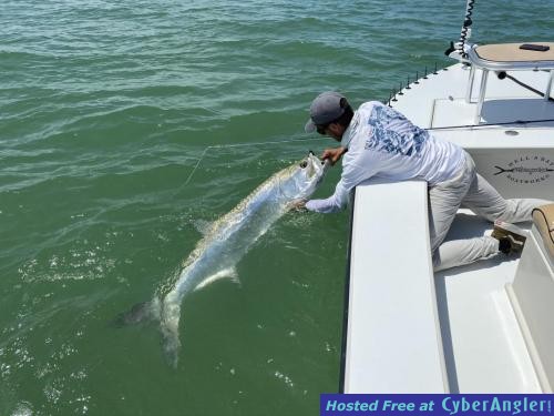 Fly_Fishing_Tarpon_Guide