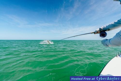 Fly_Fishing_Clearwater_Beach