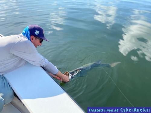 Hillsborough_River_Tarpon