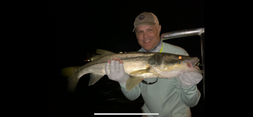 Fly_Fishing_Clearwater_Snook