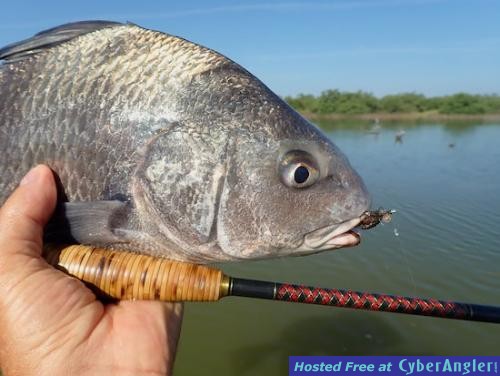 Click to Enlarge Photo