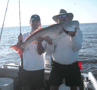 Click to Enlarge Photo