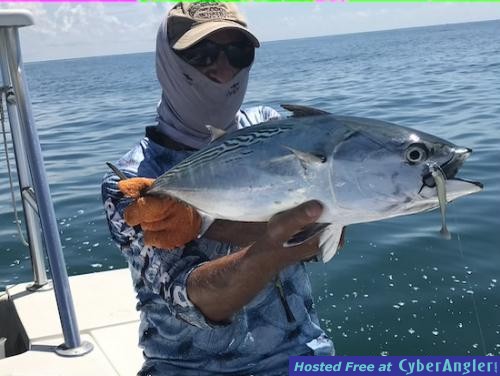 Click to Enlarge Photo