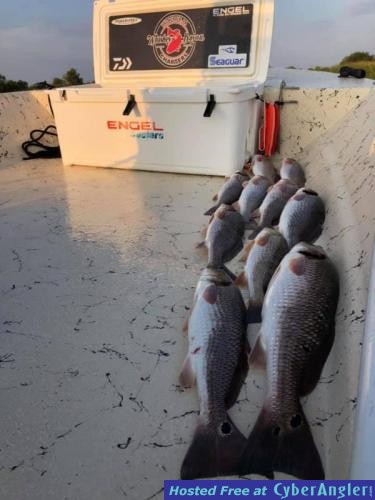 Whiskey_Bayou_Charters___Fishing_Report___Spur_of_the_Moment_Fishing_Trip_4