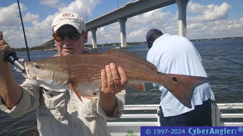 Fishing Stuart and the St. Lucie River