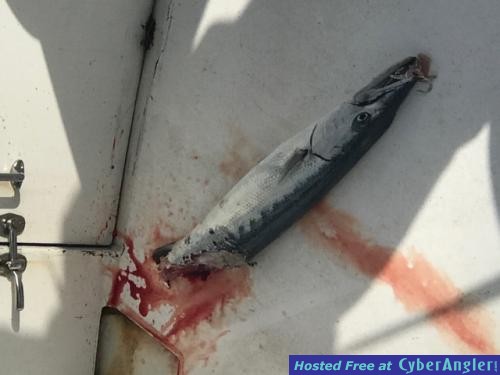 Click to Enlarge Photo