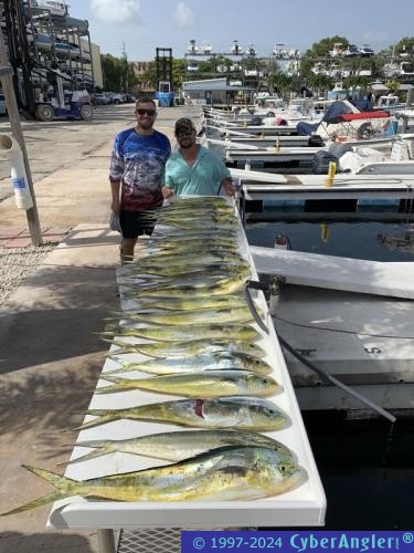 Click to Enlarge Photo