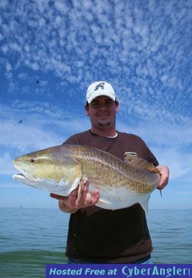 Click to Enlarge Photo