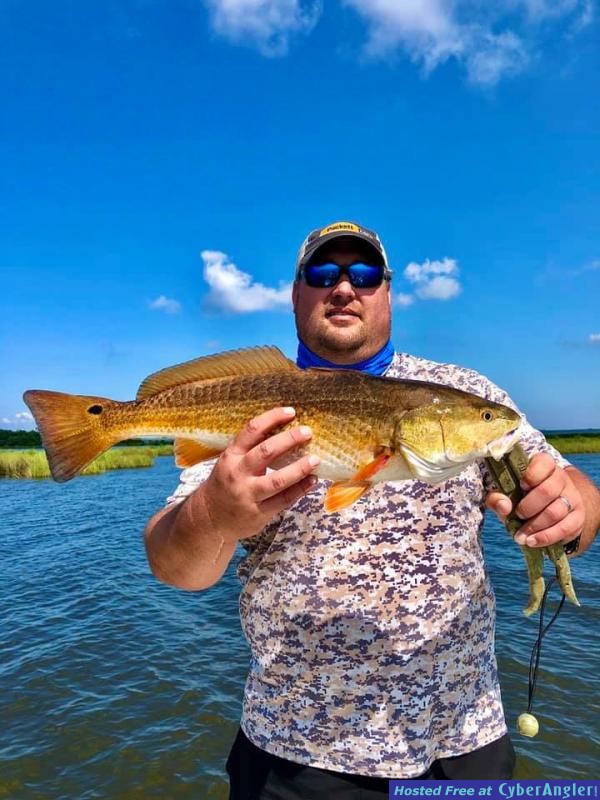Whiskey_Bayou_Charters___Fishing_Report___Fishing_for_Redfish_in_the_Marsh_