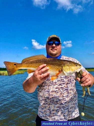 Whiskey_Bayou_Charters___Fishing_Report___Fishing_for_Redfish_in_the_Marsh_