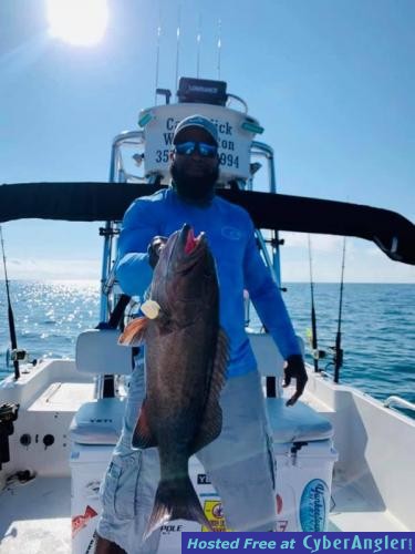 Crystal_River_Grouper_Fishing_Report_Florida
