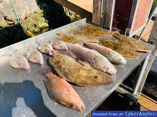 Fishing_Report_October_Cedar_Key