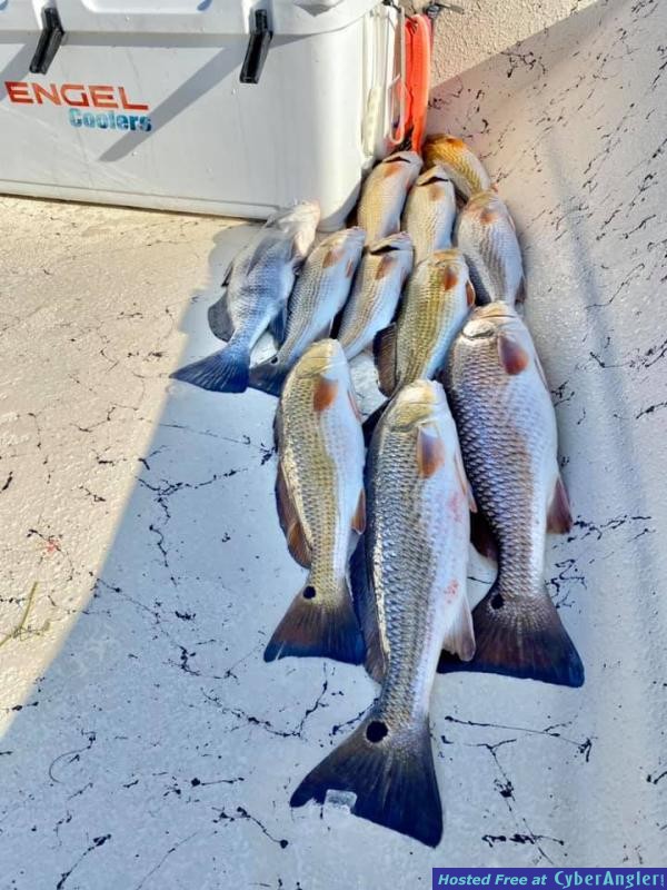 Whiskey_Bayou_Charters___Fishing_Report___Fishing_in_Heavy_Northern_Winds_3