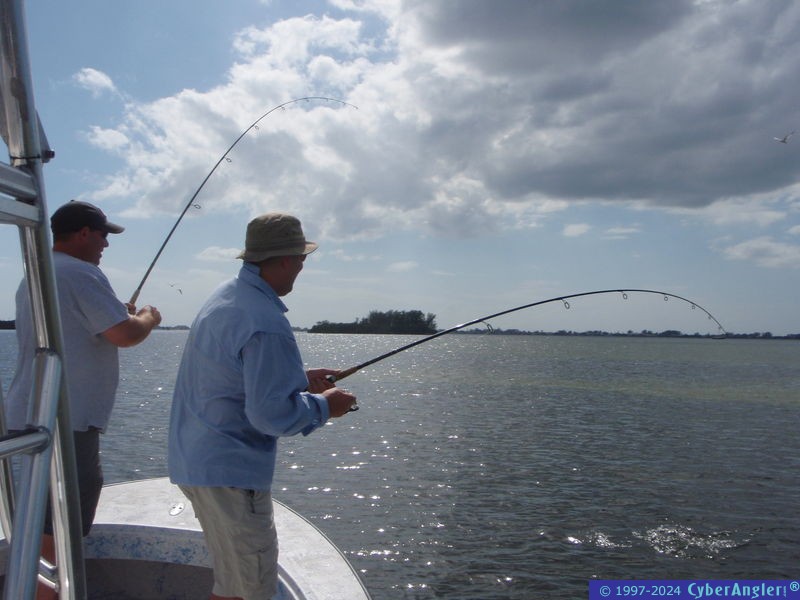 Tampa Bay Fish On!