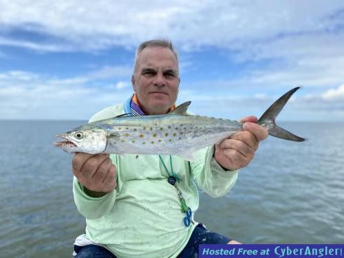 Spanish_mackerel_inshore_fishing
